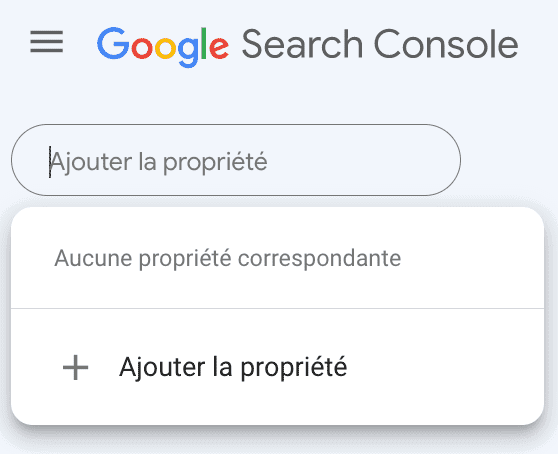 ajouter propriete google search console